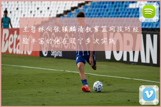 王哲林向张镇麟请教剪篮网技巧经验丰富的他在辽宁多次实践